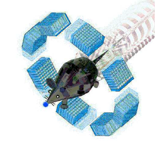 Commenting screenshot